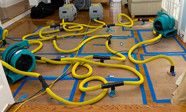 Professional Emergency Water Removal technician working in Newburg, WI