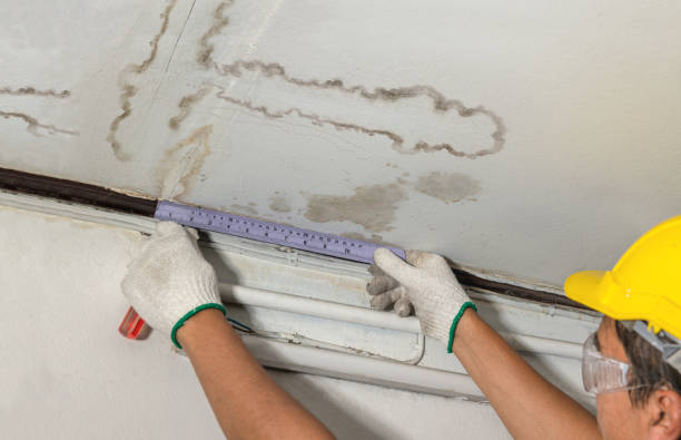 Affordable Water Damage Repair solutions in Newburg, WI